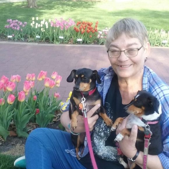 Meet your Posher, Shelley - Picture 1 of 1